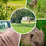 D'hotes La Clef Des Champs - La Source De Nos Racines - Corps De Ferme Au Coeur Du Parc Naturel De L'avesnois 3*