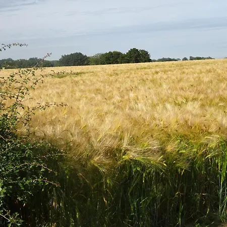 فندق مبيت وإفطار D'hotes La Clef Des Champs - La Source De Nos Racines - Corps De Ferme Au Coeur Du Parc Naturel De L'avesnois