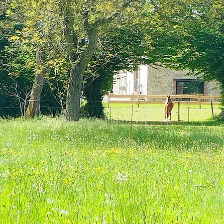 D'hotes La Clef Des Champs - La Source De Nos Racines - Corps De Ferme Au Coeur Du Parc Naturel De L'avesnois فندق مبيت وإفطار