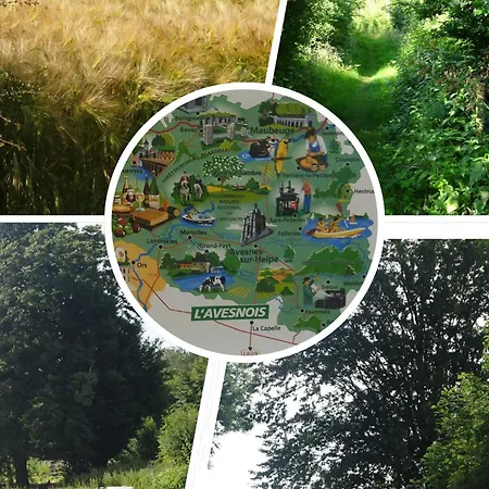 D'hotes La Clef Des Champs - La Source De Nos Racines - Corps De Ferme Au Coeur Du Parc Naturel De L'avesnois Beaufort (Nord)