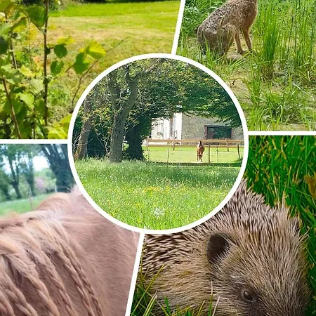 D'hotes La Clef Des Champs - La Source De Nos Racines - Corps De Ferme Au Coeur Du Parc Naturel De L'avesnois 3*